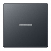 Клавиша 1-ая для одноклавишного выключателя с подсветкой Jung A Антрацит матовый